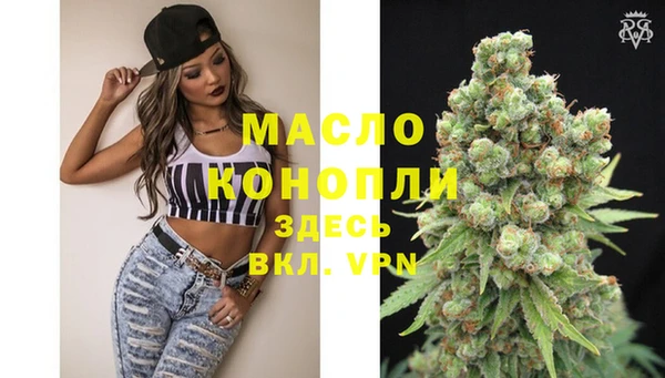 метадон Каменка