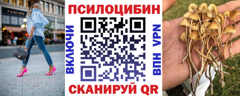 Псилоцибиновые грибы прущие грибы  Купить где  Топки 